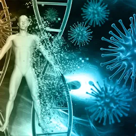 Home 5 home elimination immune system