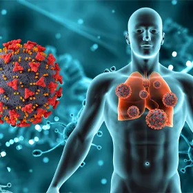 Home 7 home recovery immune system