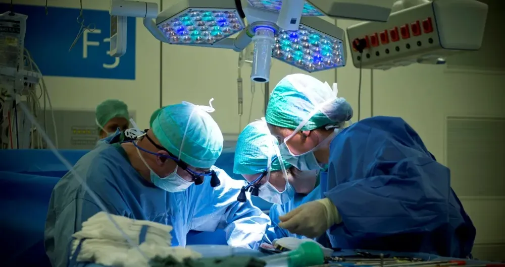 5 step transplantation day